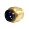 Apollo 1/2 in. Brass Push-to-Connect Cap FSBCAP12 - alternate 2